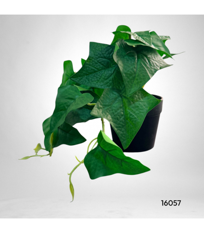 MACETA 15CM
