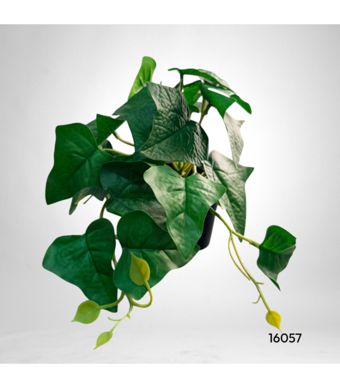 MACETA 15CM
