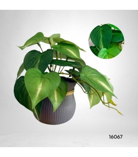 MACETA HOJA DE CORAZÓN