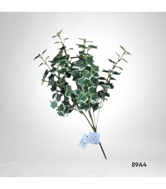 RAMO DE VARIEGADA