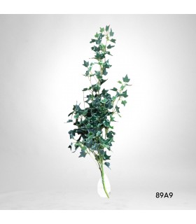 RAMO DE VARIEGADA