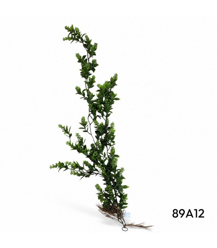 FOLLAJE COLGANTE DE RUSCUS
