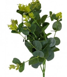 FLOR