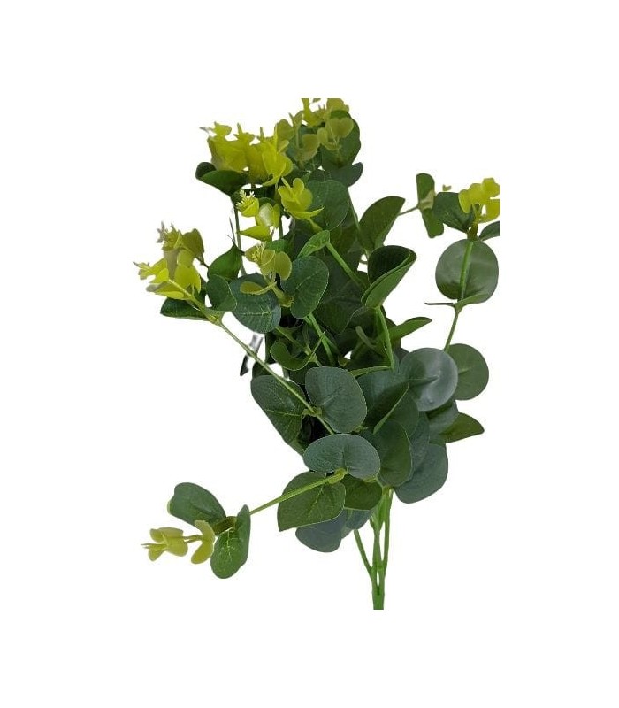 FLOR