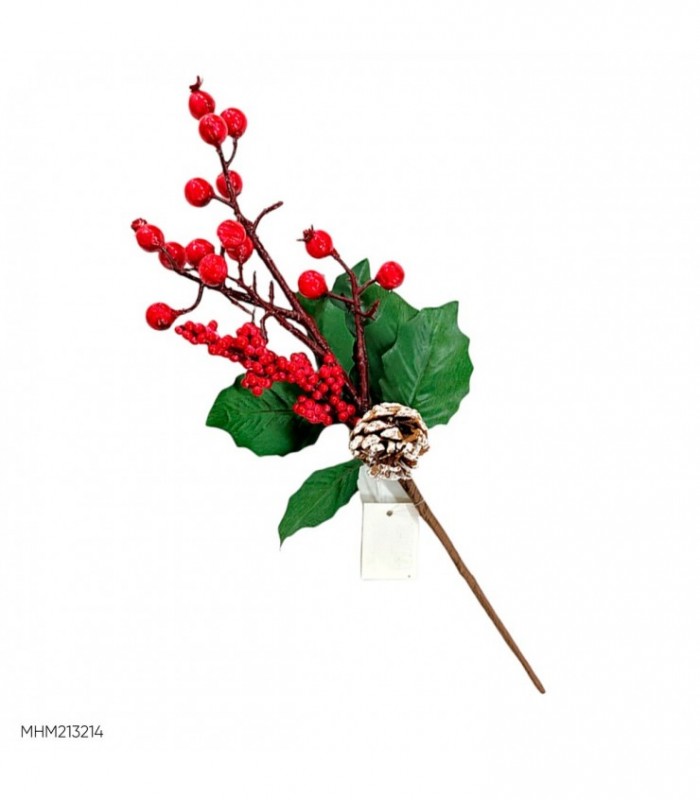 BAYA FRUTO NAVIDEÑO