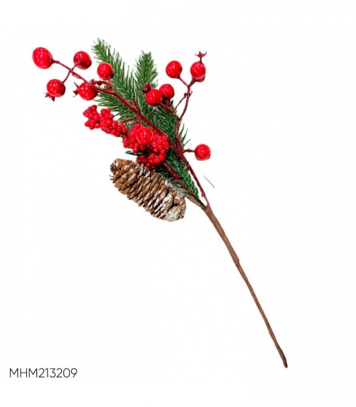 BAYA FRUTO NAVIDEÑO