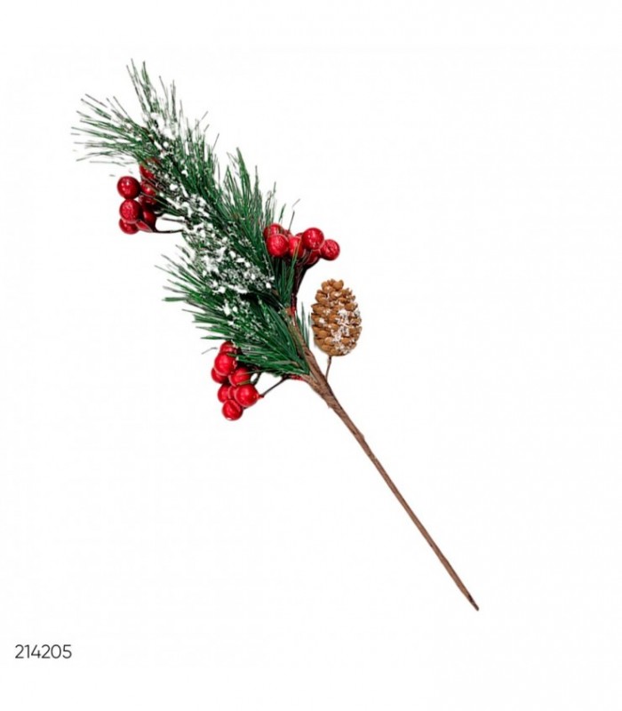 BAYA FRUTO NAVIDEÑO