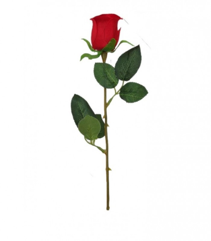 FLOR
