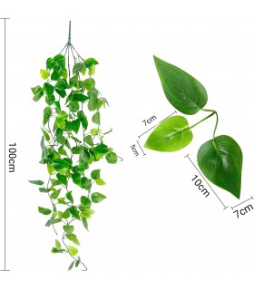 HOJA