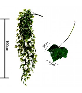 HOJA