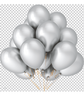 GLOBO LISO N°12 PLATEADO