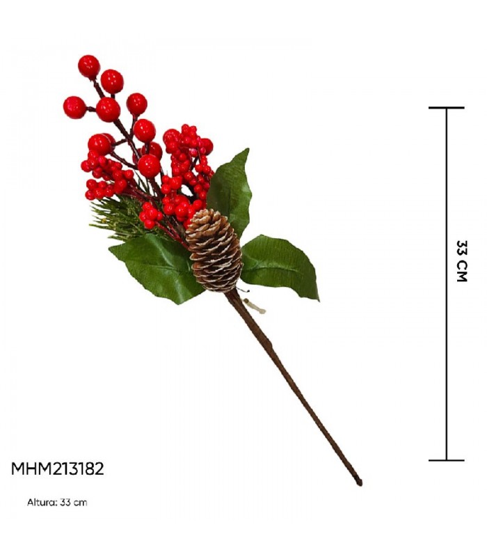 BAYA FRUTO NAVIDEÑO