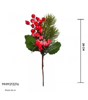 BAYA FRUTO NAVIDEÑO