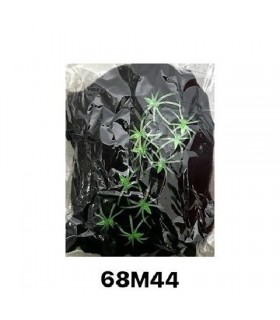 ALGODON NEGRO 100G+10 ARAÑAS