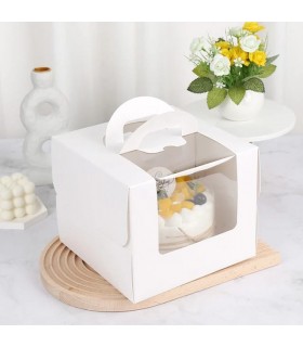 CAJA C/ VISOR CUADRADO