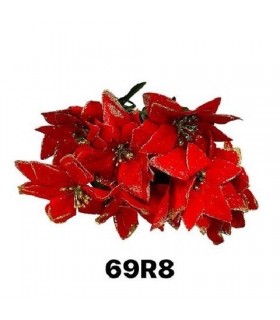 FLOR NAV PULCHERRIMA ROJO V/DORADO