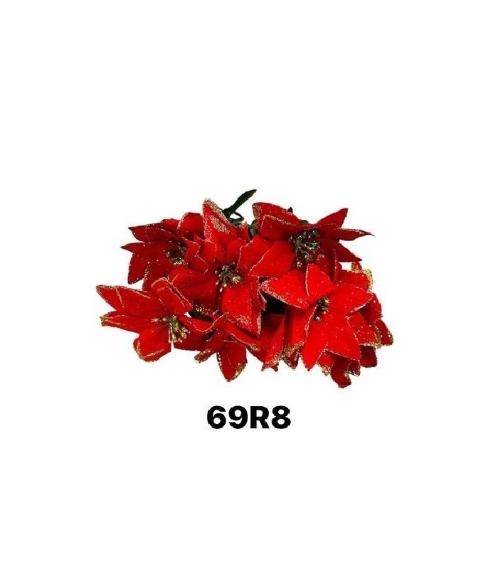 FLOR NAV PULCHERRIMA ROJO V/DORADO