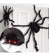 ARAÑA 50CM HALLOWEEN