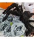 ARAÑA 50CM HALLOWEEN