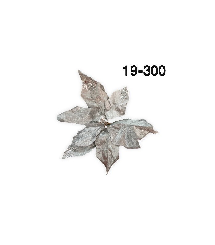 FLOR NAVIDEÑO
