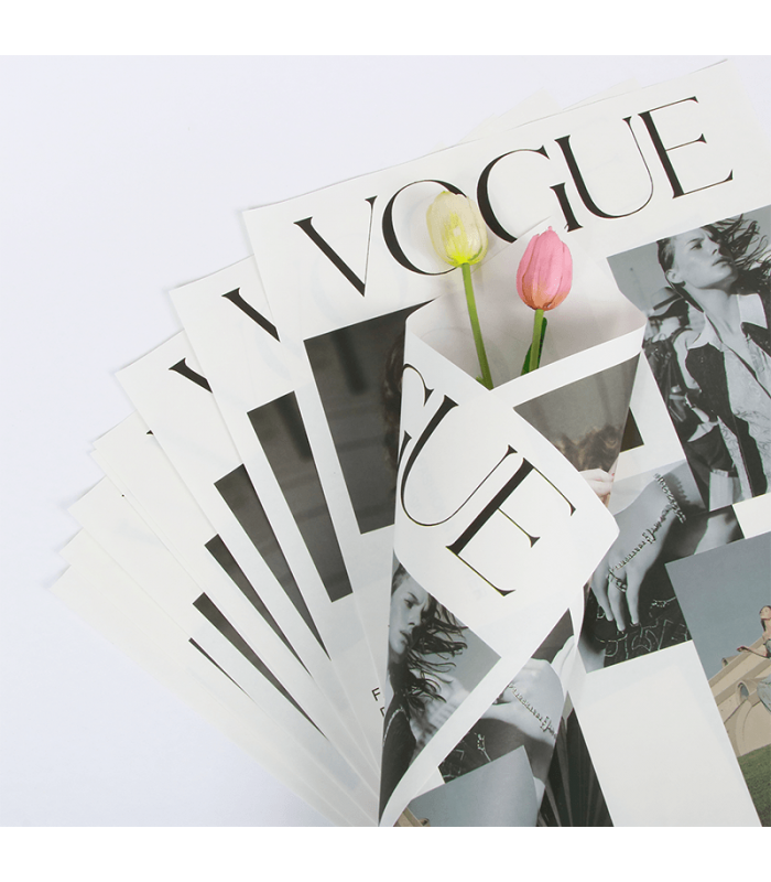 PAPEL COREANO VOGUE X10