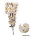 RAMO DE CEREZOS (MARFIN) 56CM