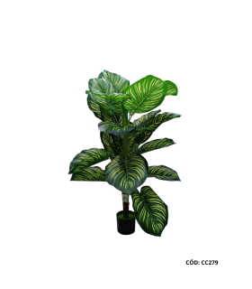MACETA DE CALATHEA 120CM