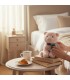 PELUCHE CERDITO